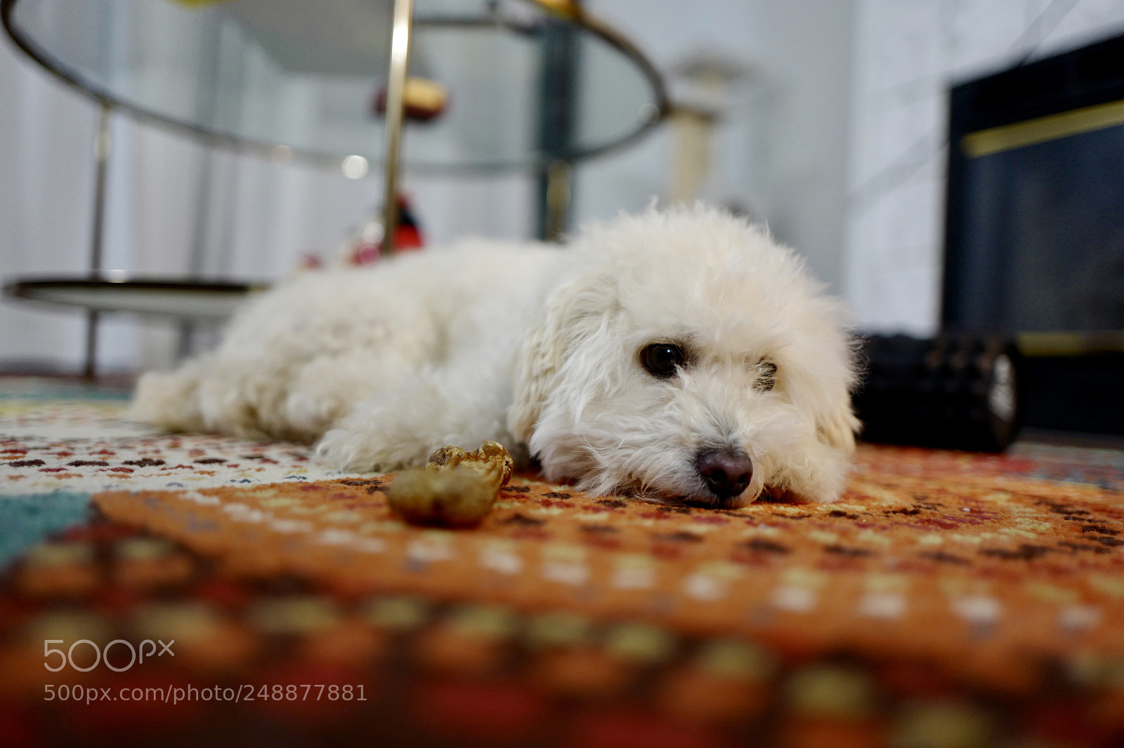 Leica Q (Typ 116) sample photo. Untitled photography