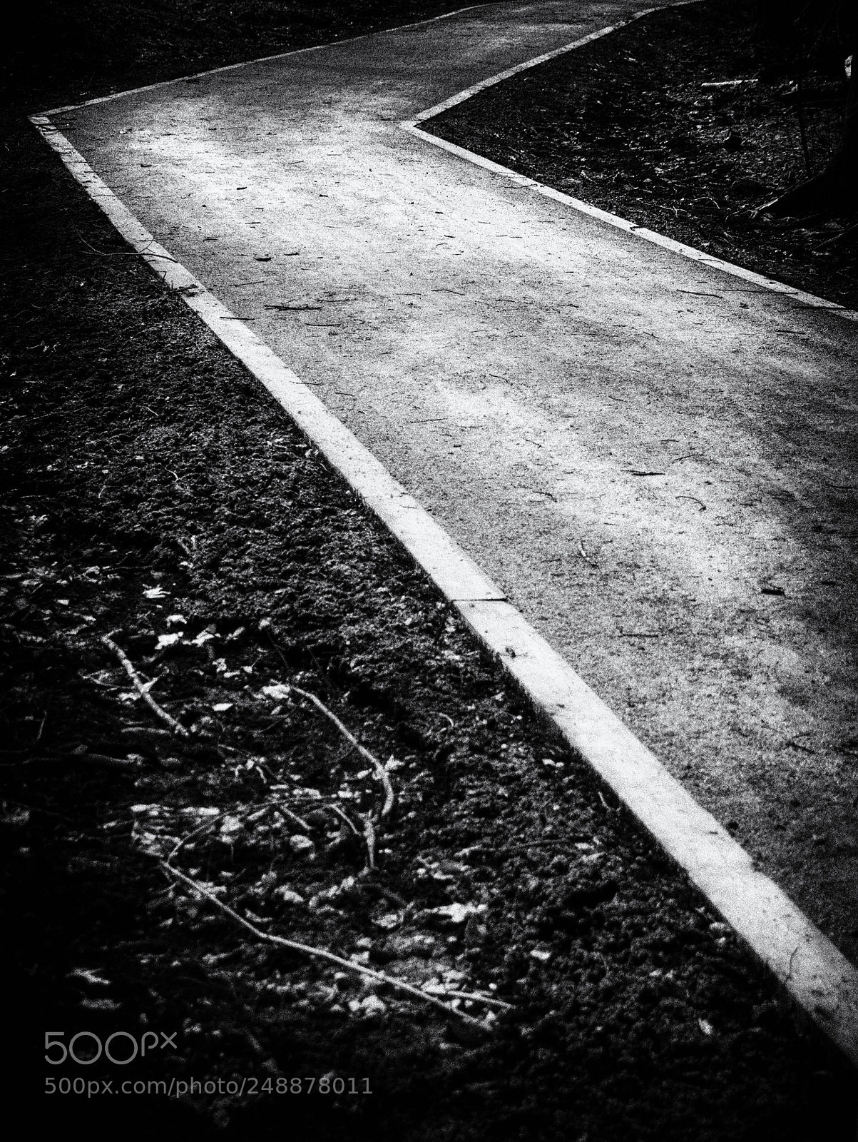 Nikon D7000 sample photo. Untitled photography
