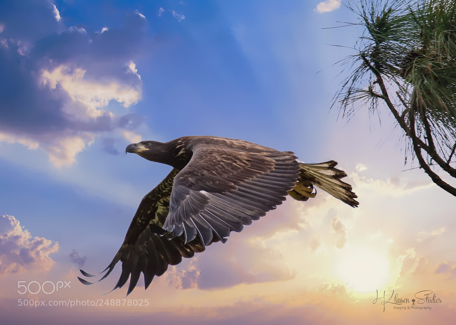 Canon EOS 60D sample photo. First flight photography