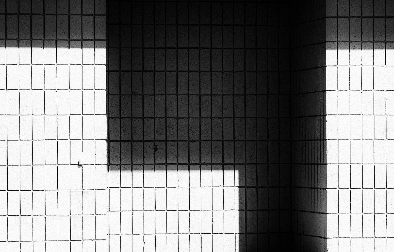 Nikon D7000 sample photo. Untitled photography