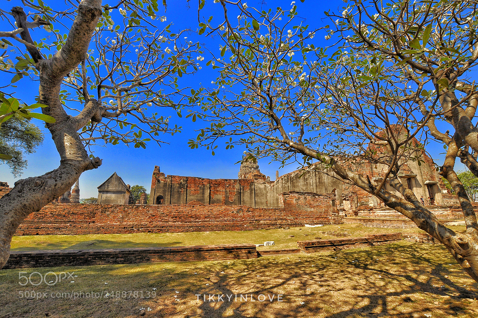 Nikon D90 sample photo. Abbey watthai photography