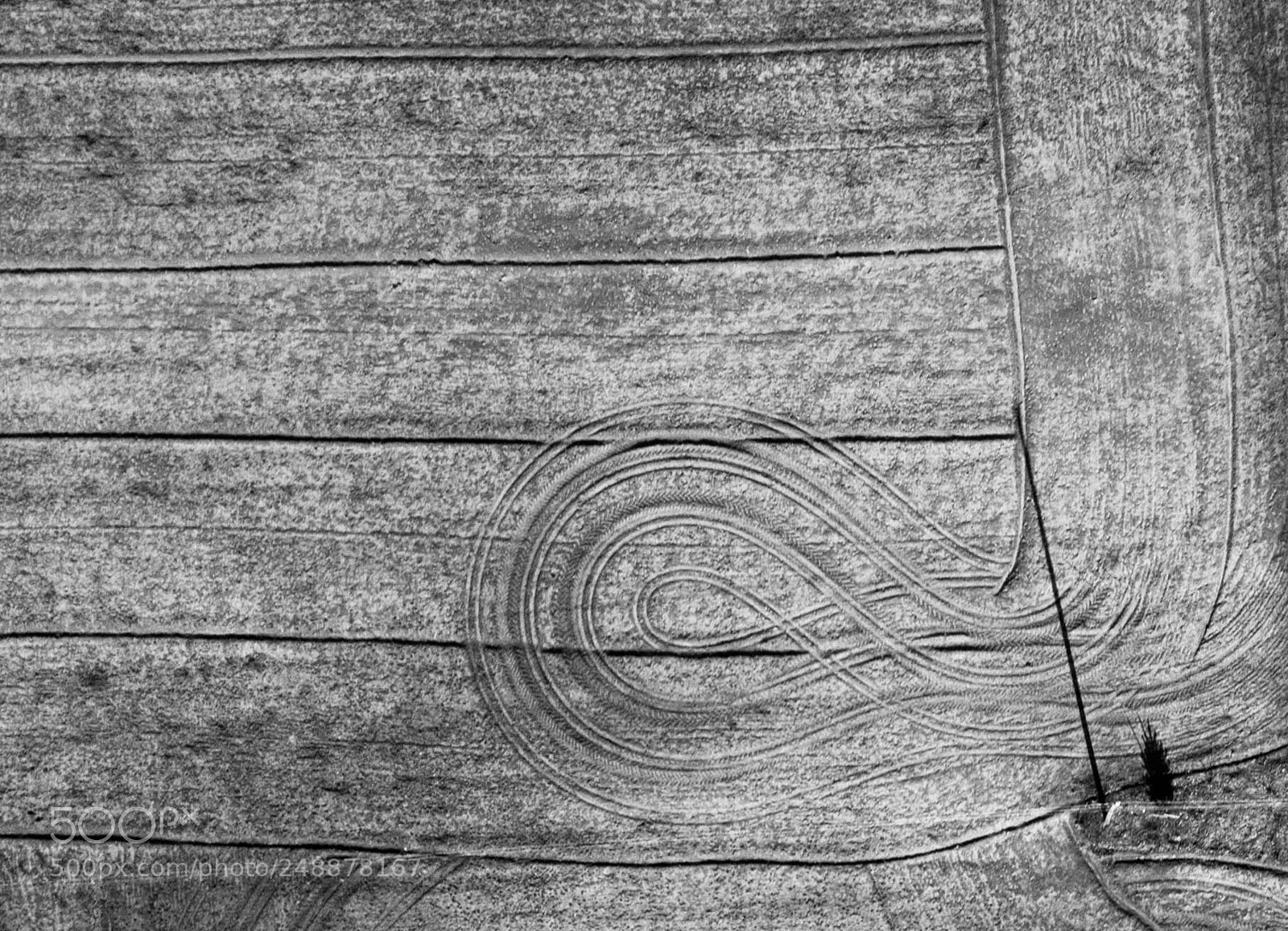 DJI FC220 sample photo. Untitled photography