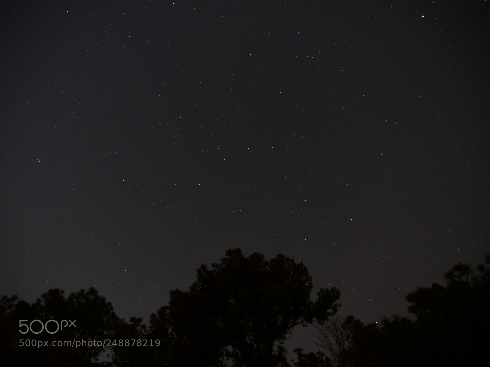 Panasonic Lumix DC-GH5 sample photo. Clear night sky photography