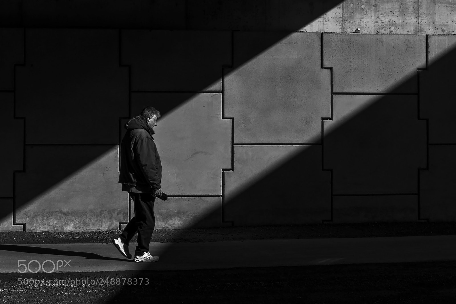 Nikon D500 sample photo. Spotlight. windsor, on. photography