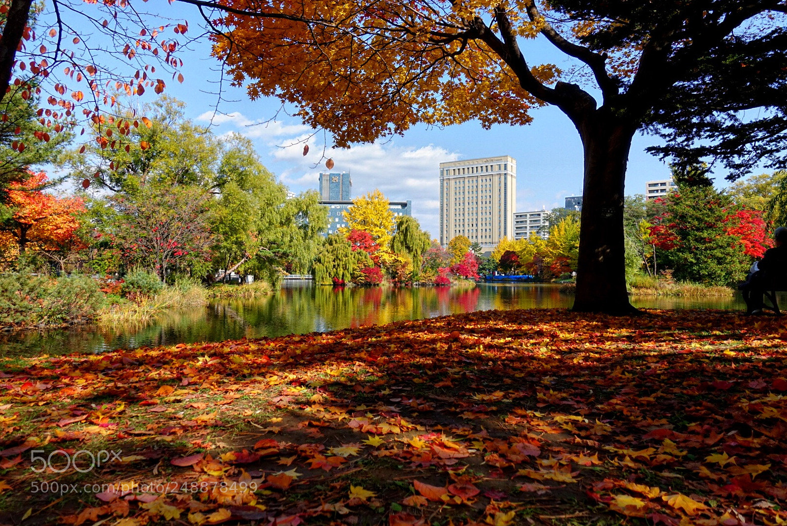 Sony Cyber-shot DSC-RX100 IV sample photo. Hokkaido nakajima park photography