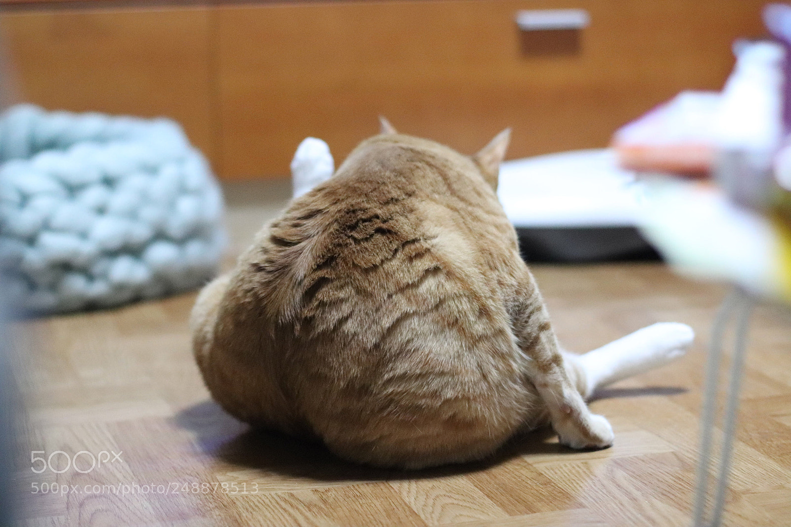 Canon EOS 800D (EOS Rebel T7i / EOS Kiss X9i) sample photo. Go for it photography