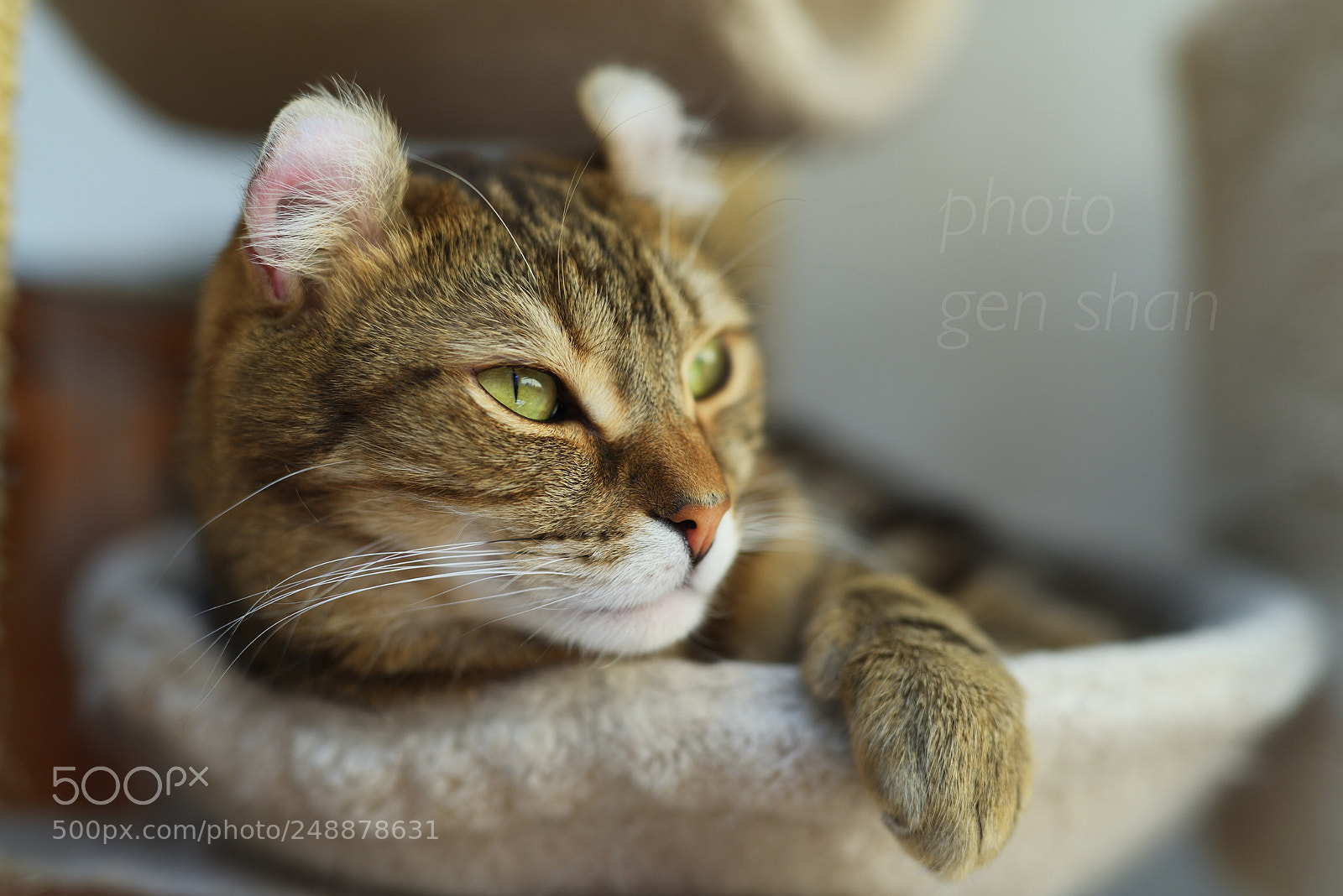 Nikon D610 sample photo. Break time☆ photography