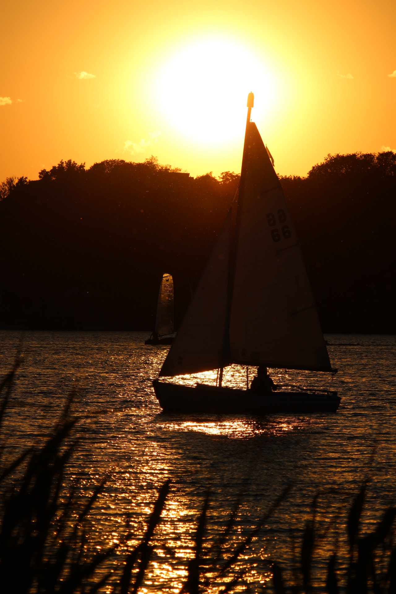 Canon EF-S 55-250mm F4-5.6 IS II sample photo