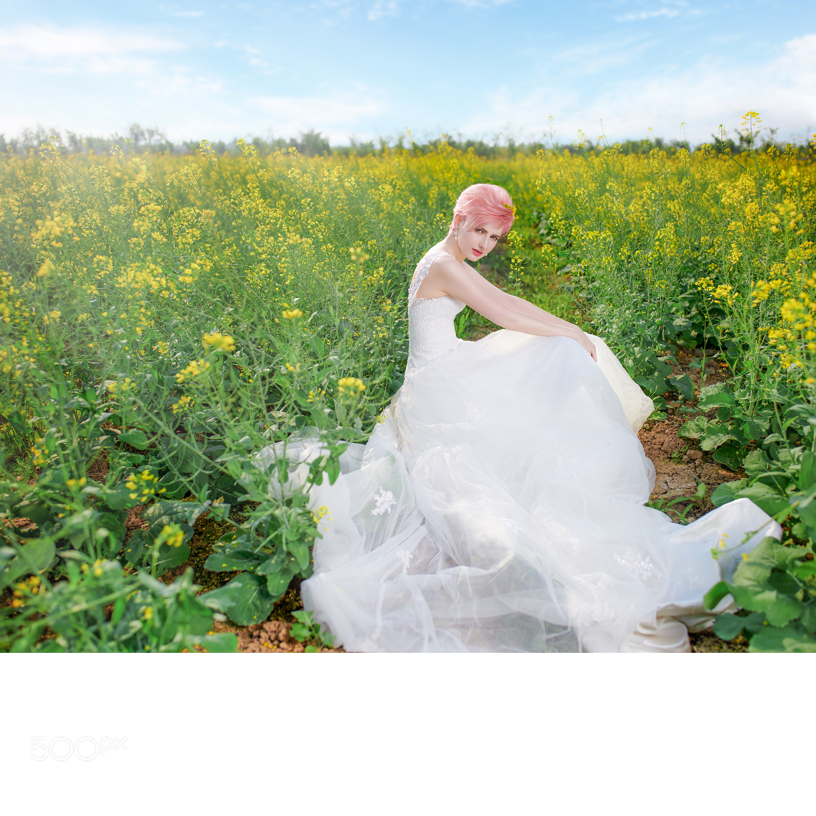 Nikon D850 sample photo. Untitled photography