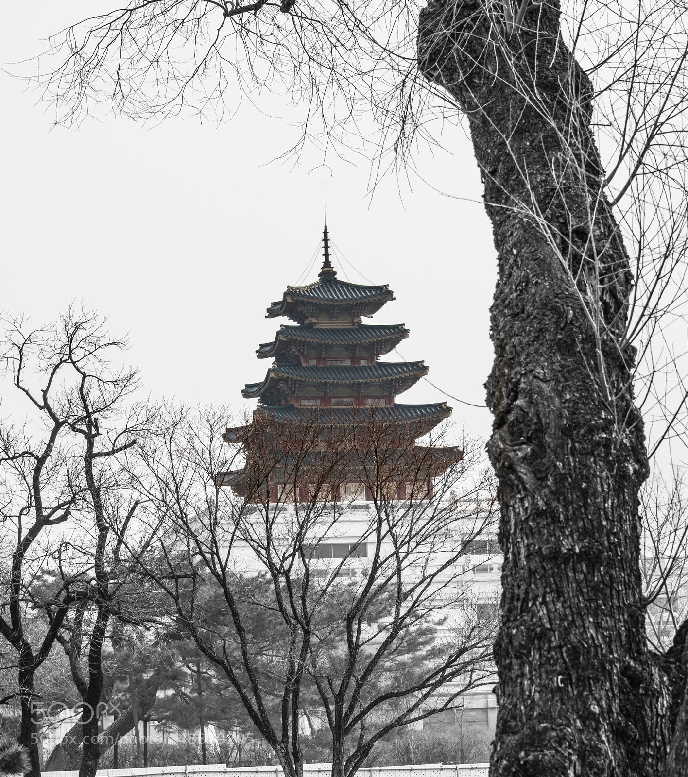 Nikon D5300 sample photo. Old but new photography