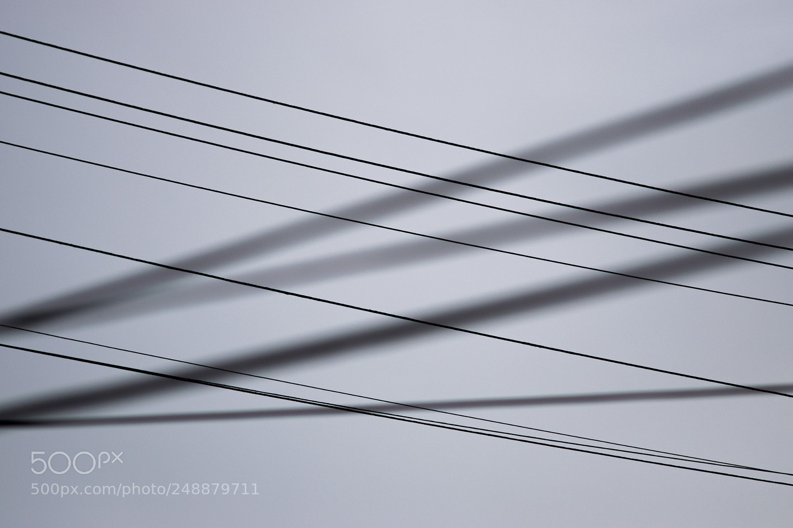Nikon D3300 sample photo. Power cables photography