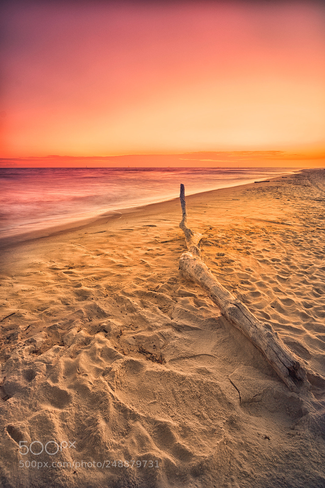 Sony a7 II sample photo. Fort morgan driftwood photography