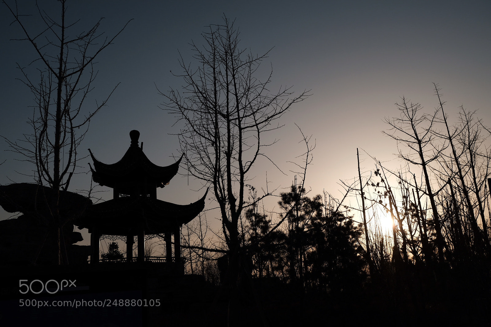 Fujifilm X-Pro2 sample photo. Untitled photography