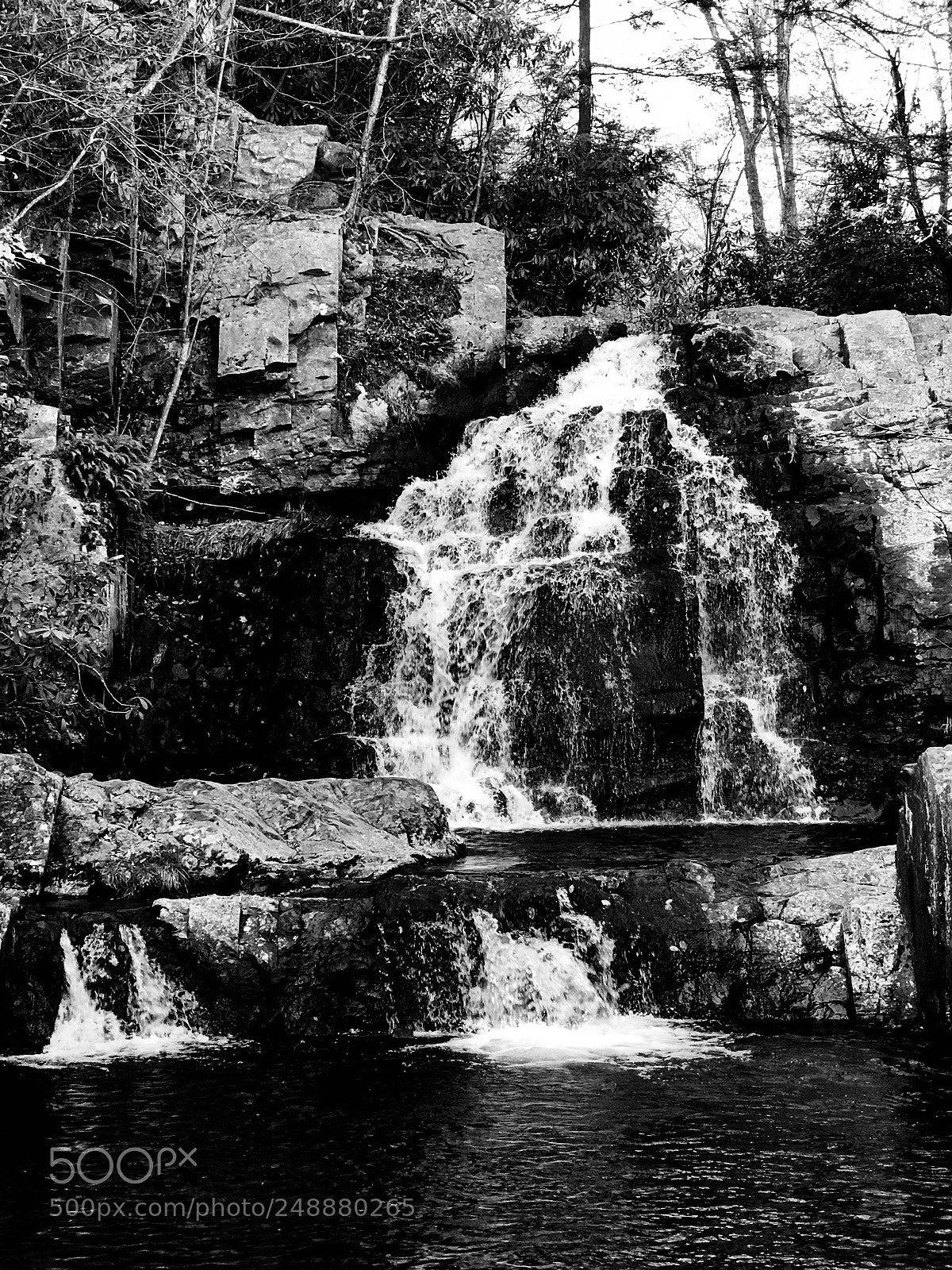 Apple iPhone 7 Plus sample photo. Hickory run state park photography