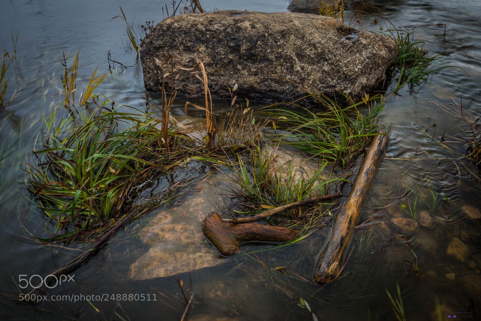 Nikon D800 sample photo. 2016 south saskatchewan river photography