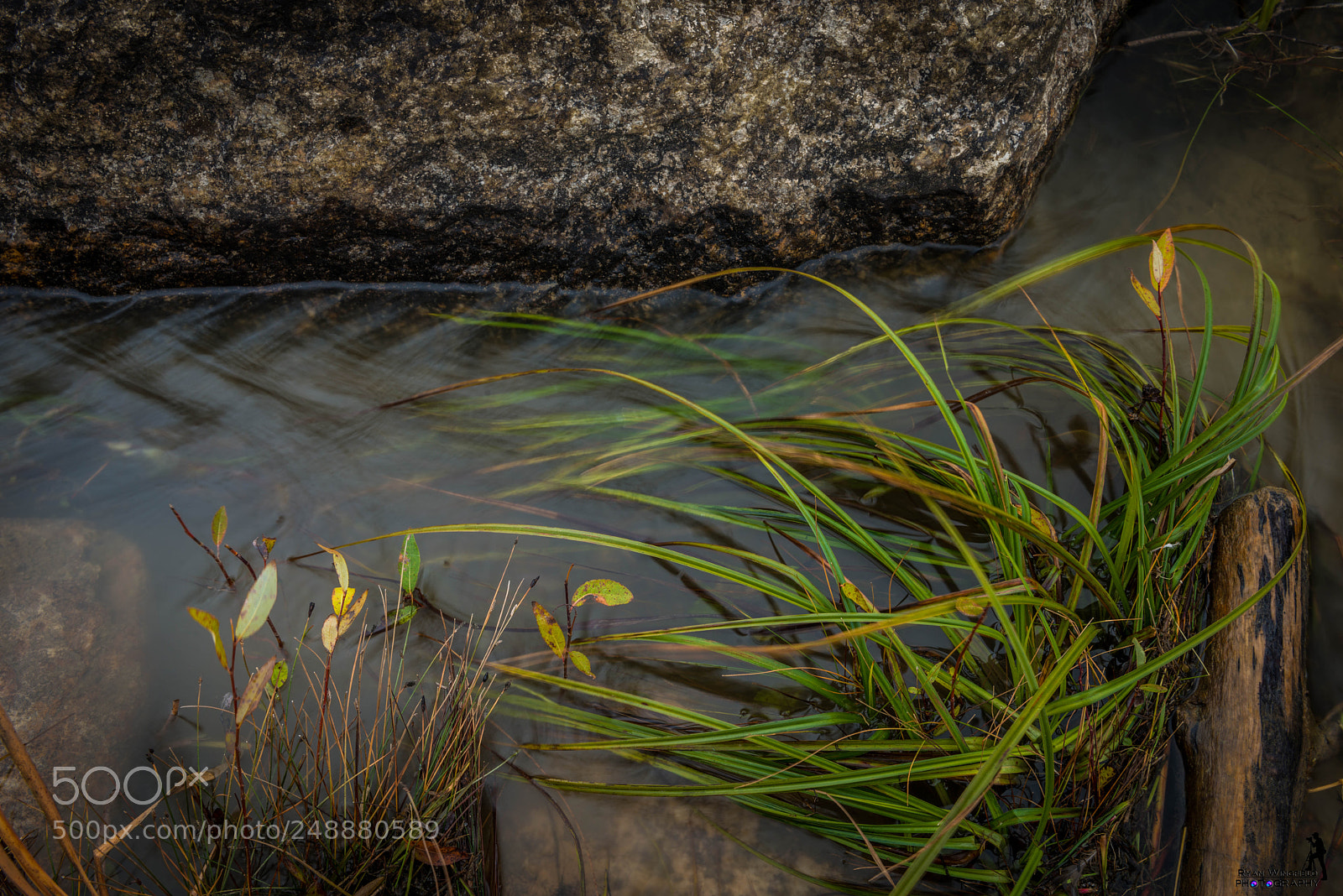 Nikon D800 sample photo. 2016 south saskatchewan river photography