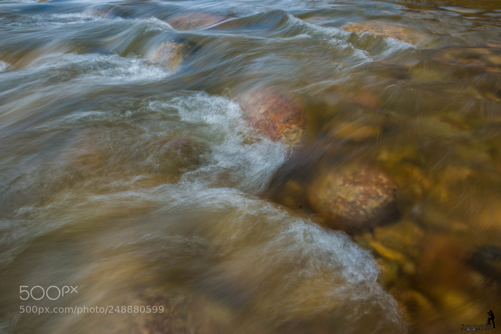Nikon D800 sample photo. 2016 south saskatchewan river photography