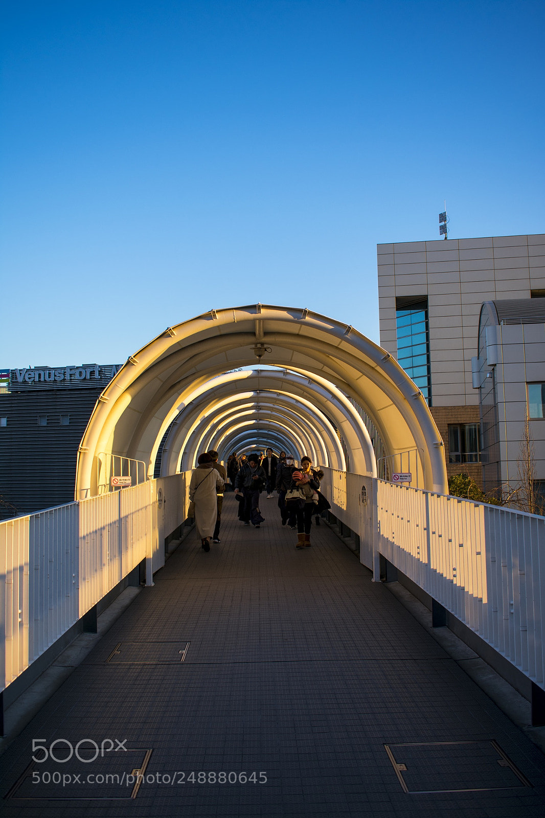 Nikon D3400 sample photo. Toyota mega web -odaiba  photography