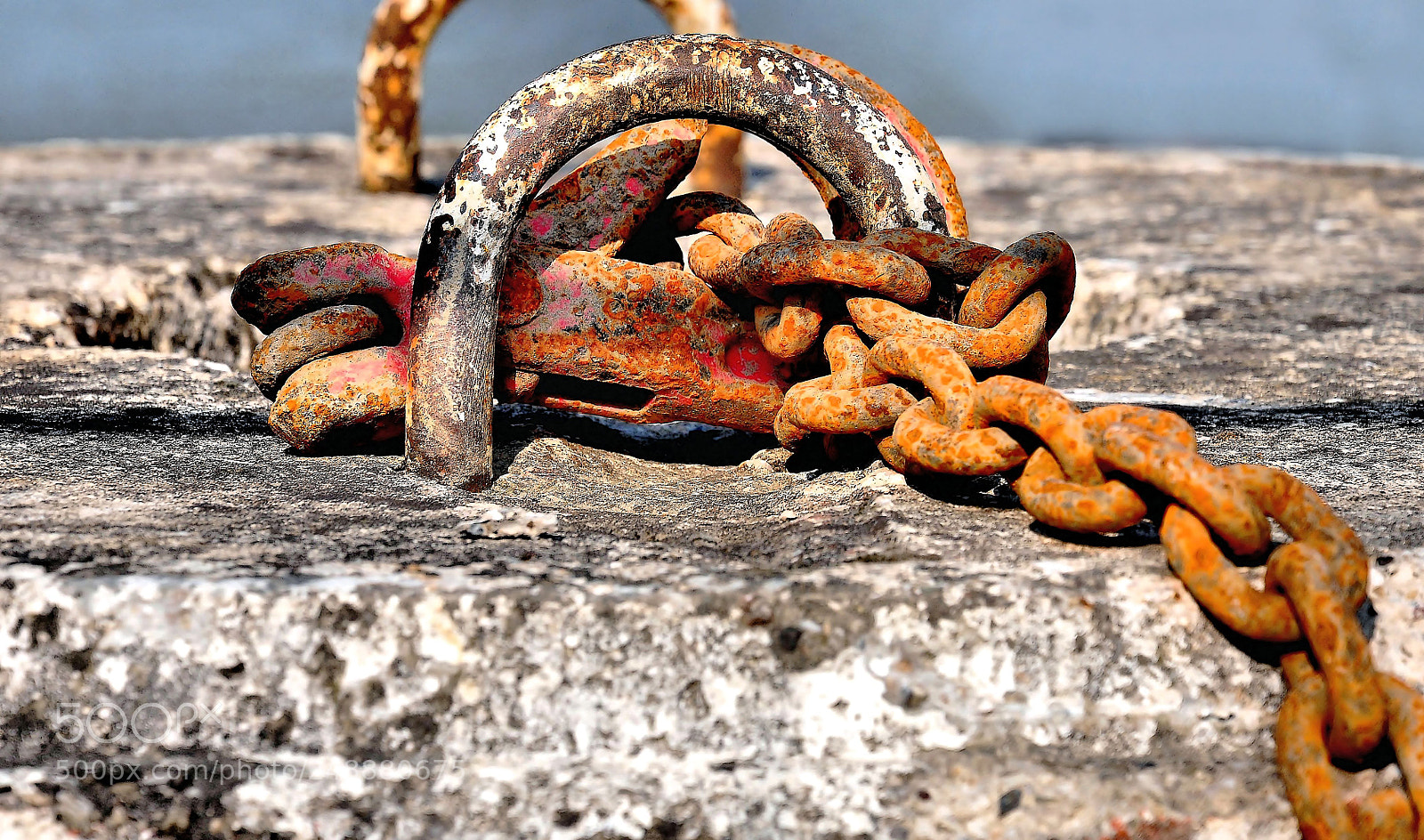 Nikon D300S sample photo. * photography