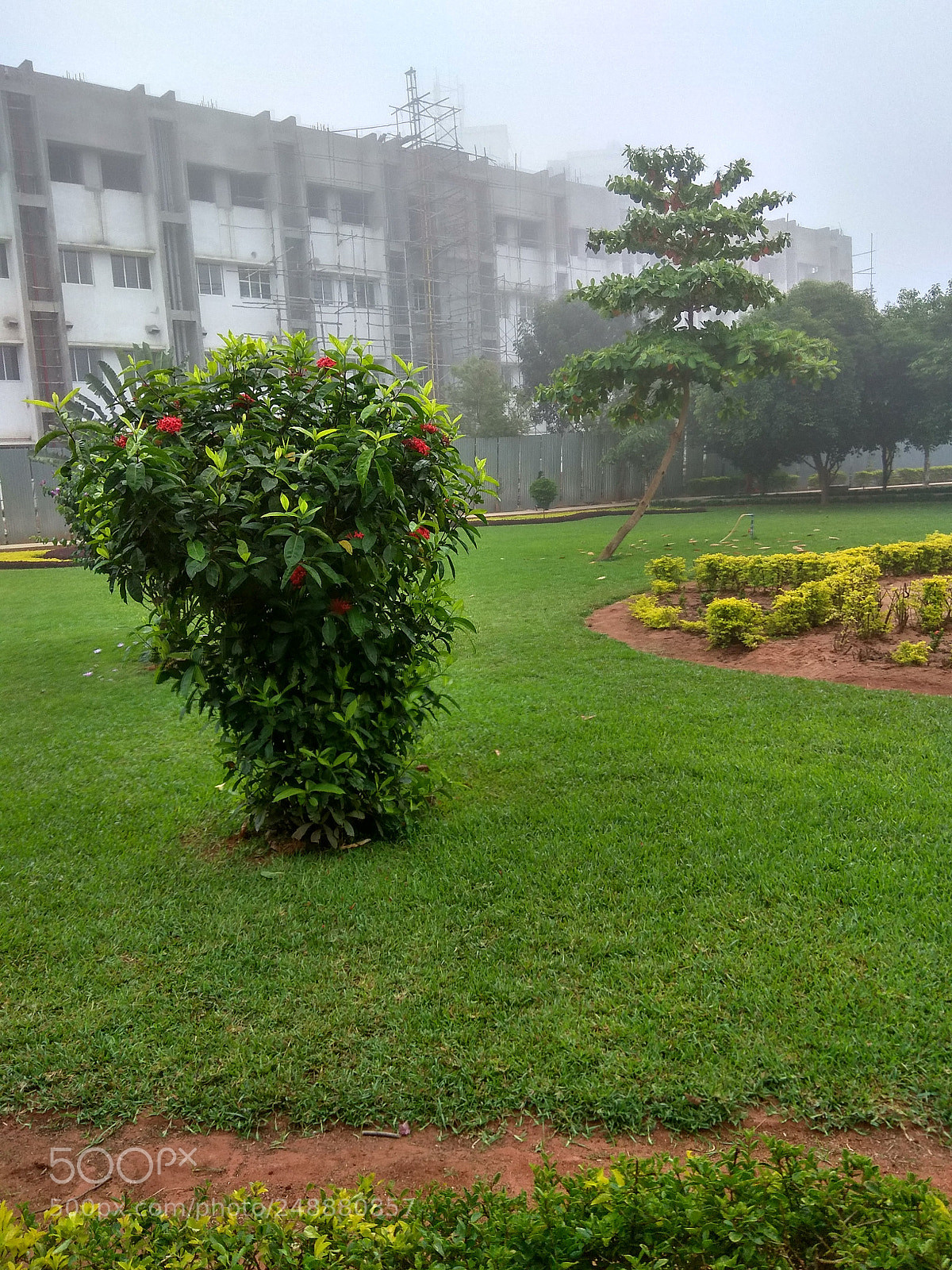 Xiaomi Redmi Note 4 sample photo. Untitled photography