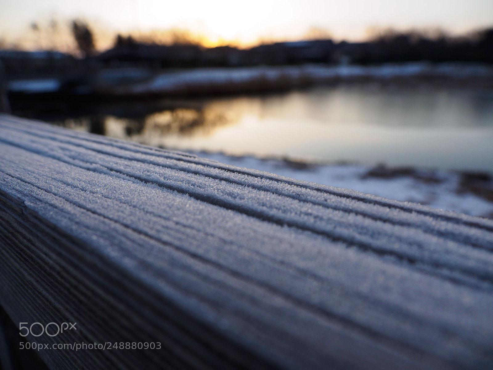 Olympus OM-D E-M10 II sample photo. Frosty morning photography