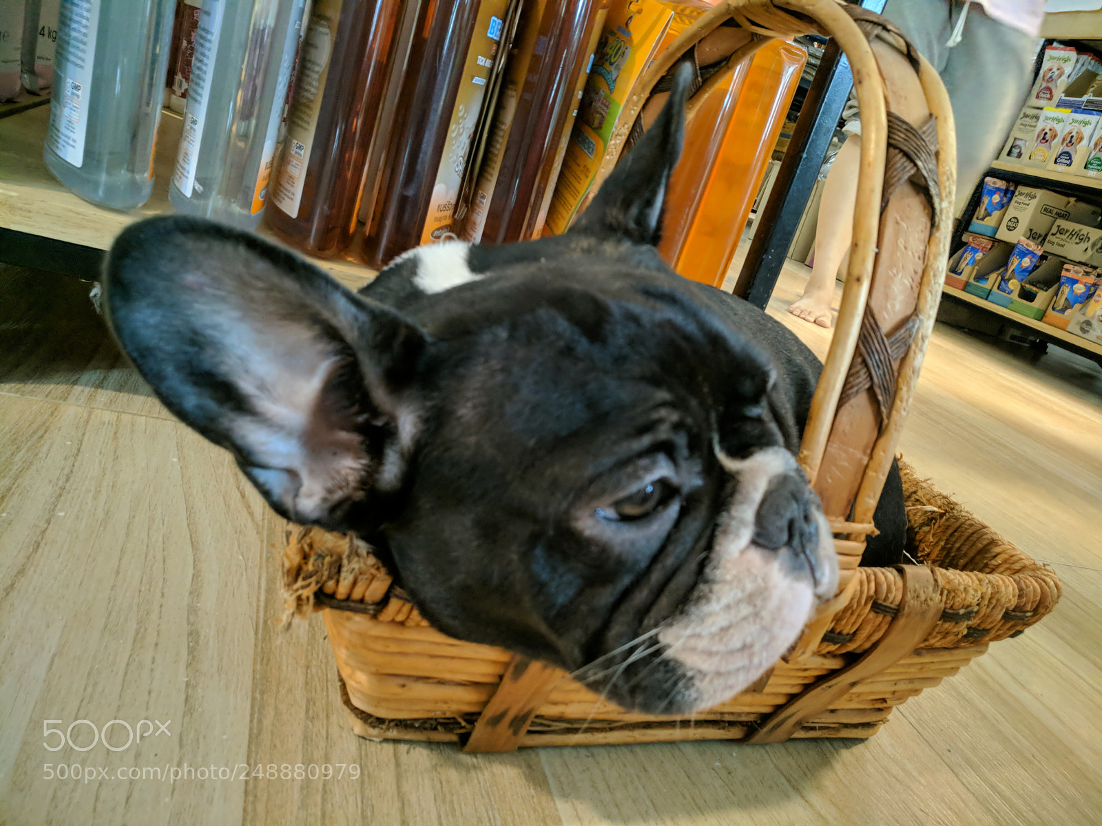 Xiaomi MI MAX 2 sample photo. Img_20180309_134606.jpg photography