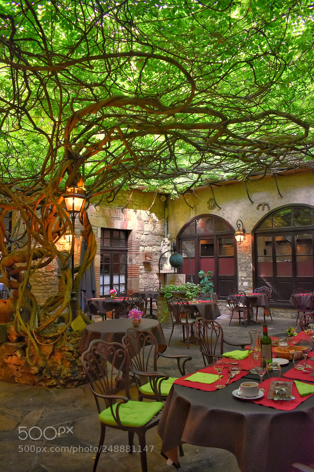 Nikon D3400 sample photo. Repas sous l arbre photography