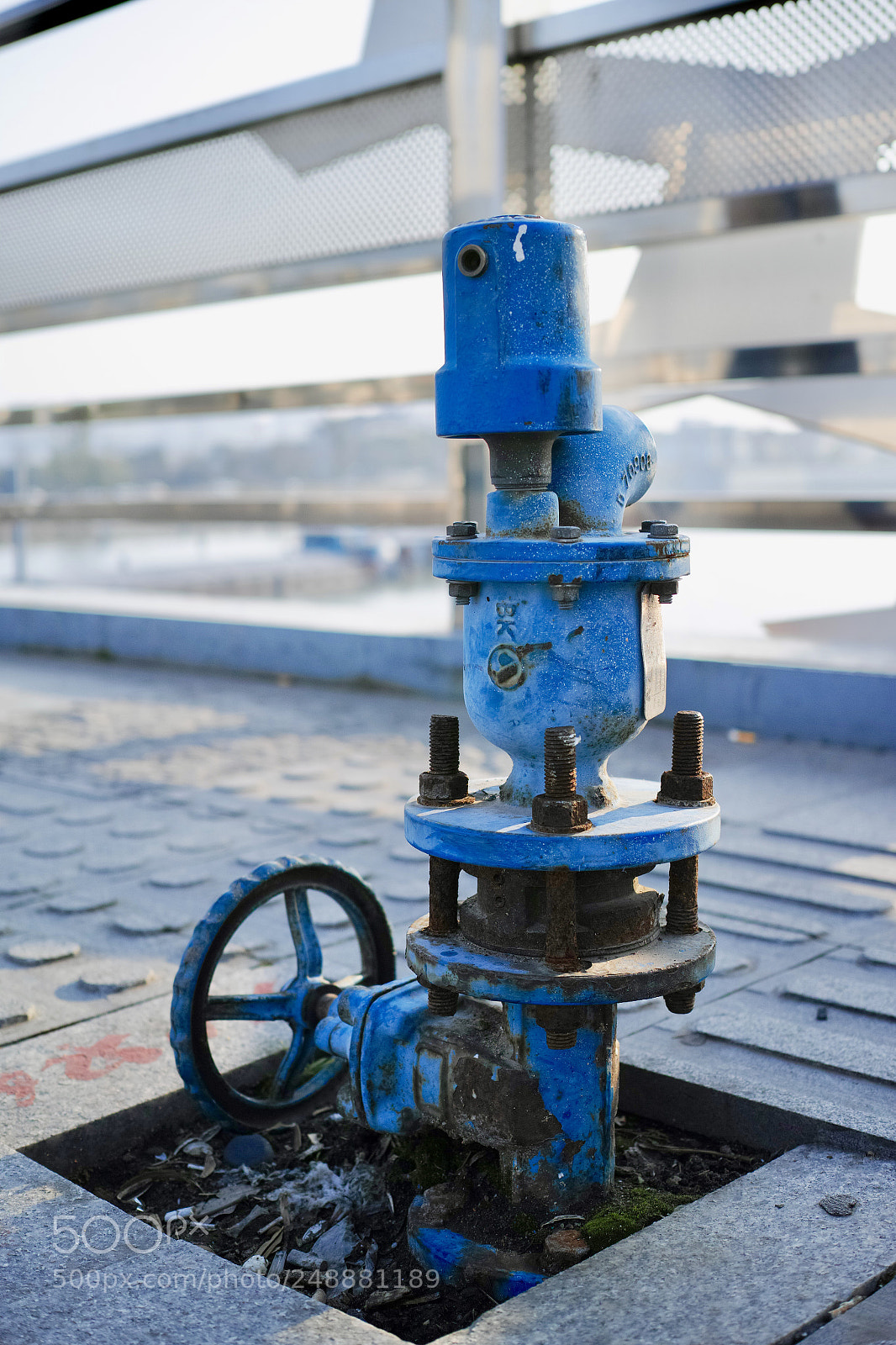 Sigma dp2 Quattro sample photo. Untitled photography