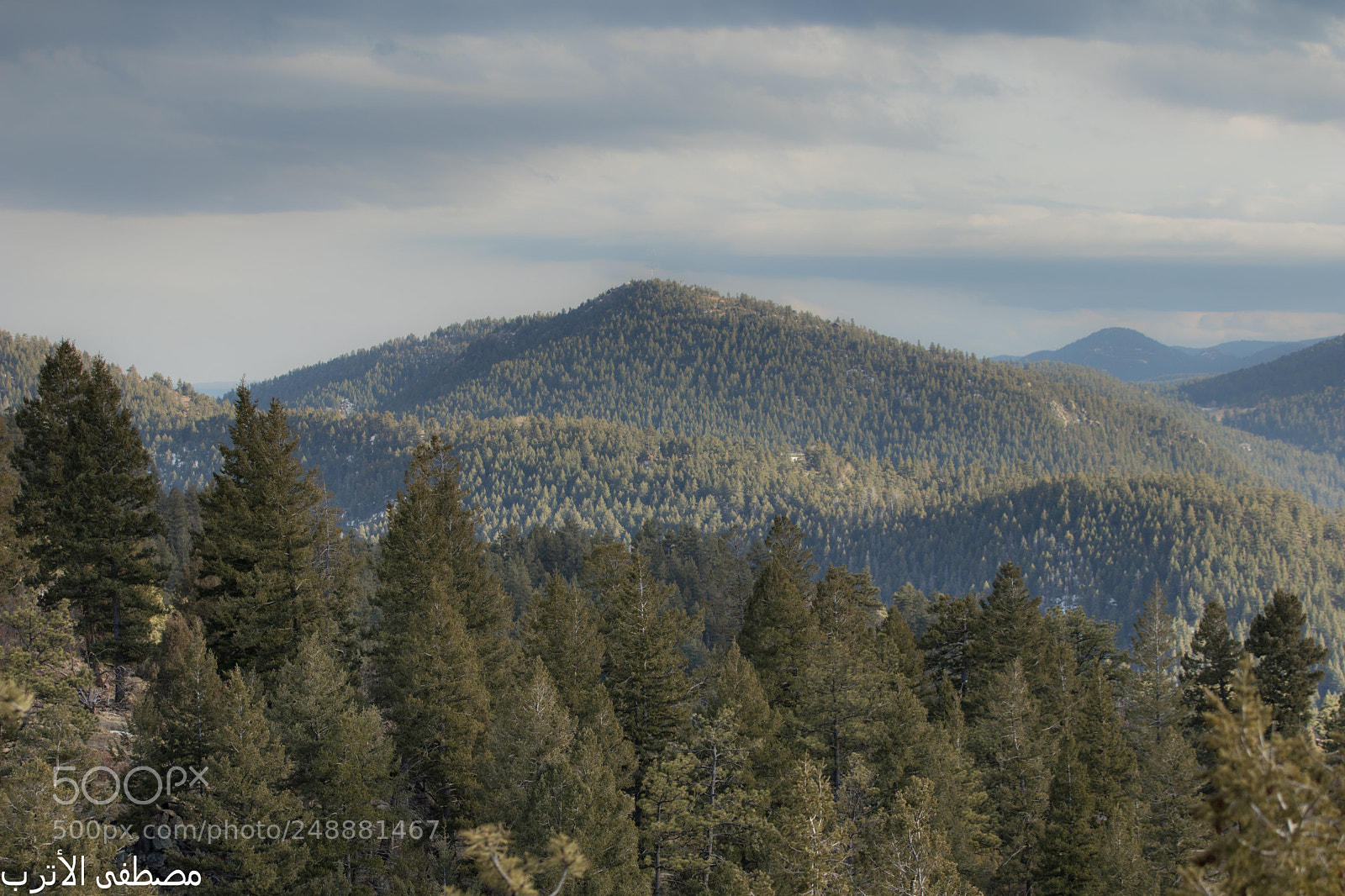 Canon EOS 80D sample photo. Mount falcon park photography