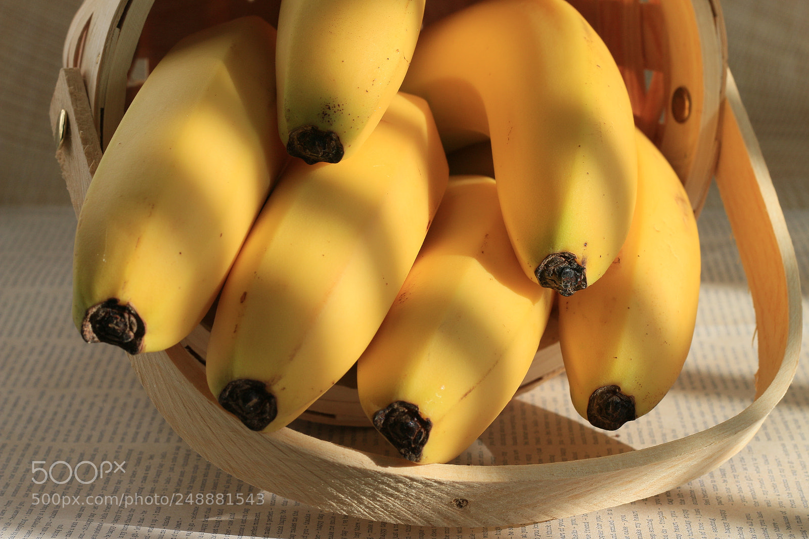 Canon EOS 70D + Canon EF 50mm F1.8 II sample photo. Go bananas photography