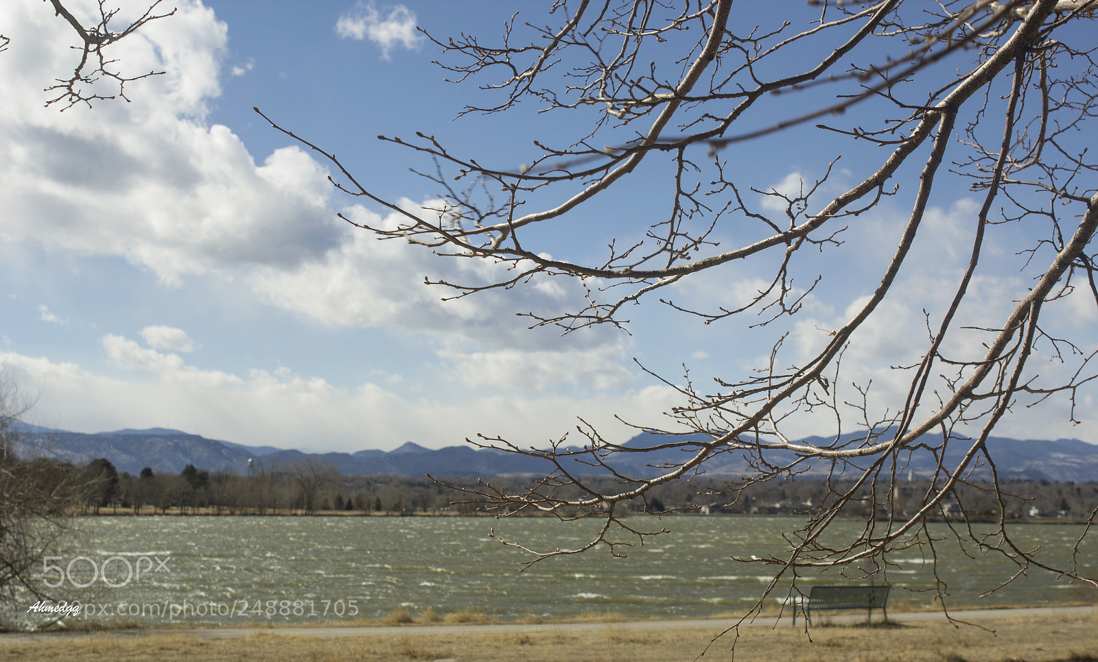 Canon EOS 600D (Rebel EOS T3i / EOS Kiss X5) sample photo. Img photography