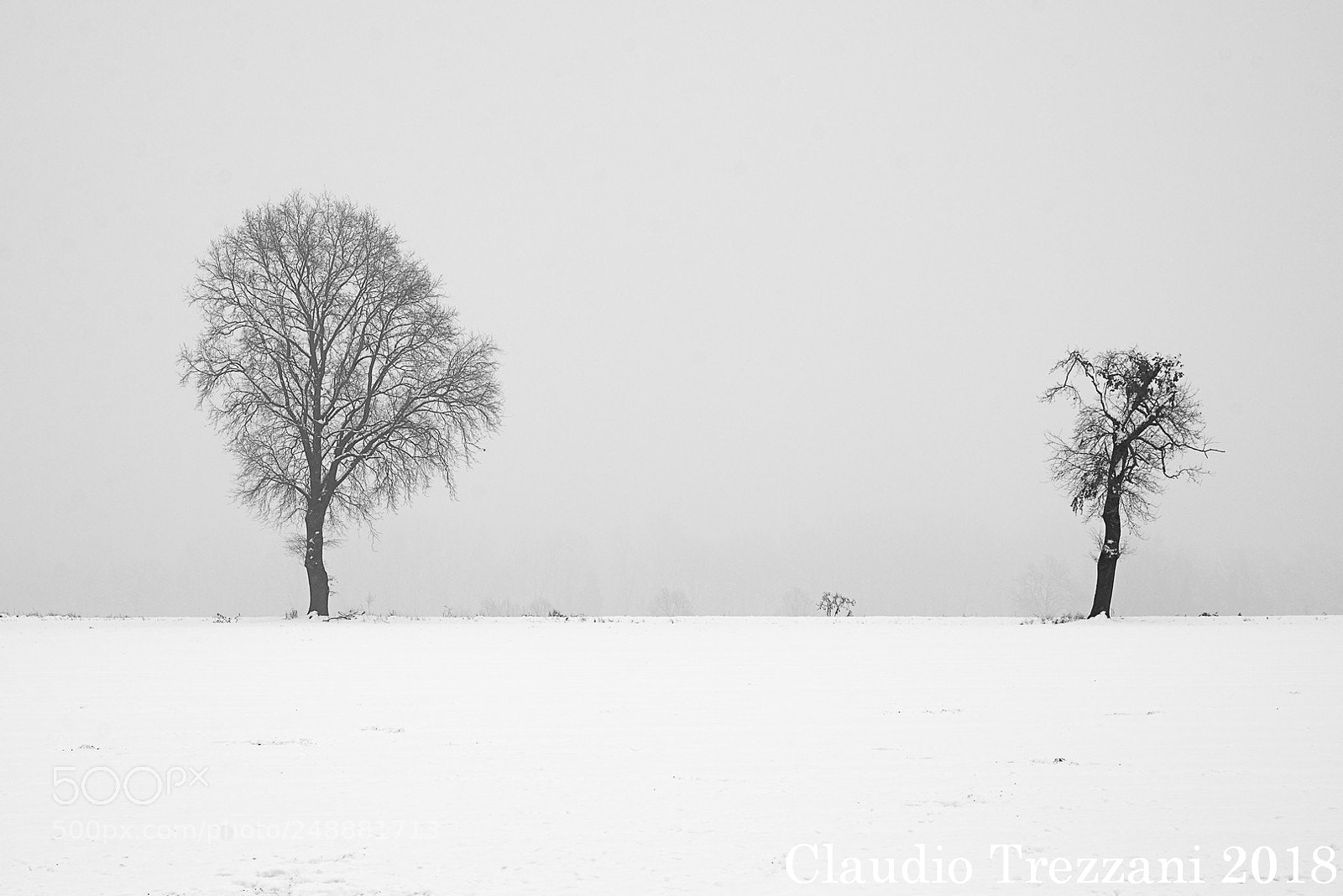 Nikon D600 sample photo. White, grey, black. photography