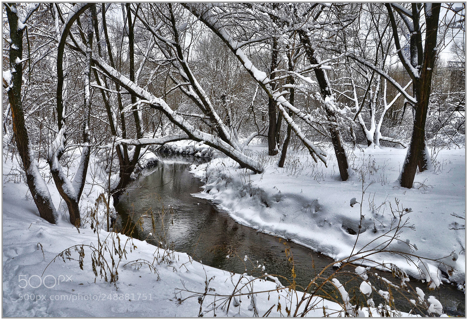 Nikon D7000 sample photo. .... Зима в зарисовках ..... photography