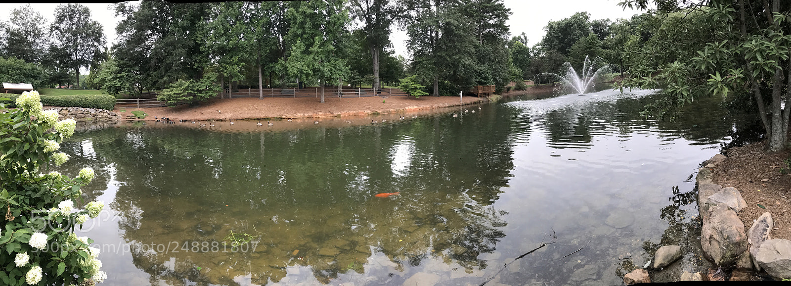 Apple iPhone 7 Plus sample photo. Smyrna, georgia. photography