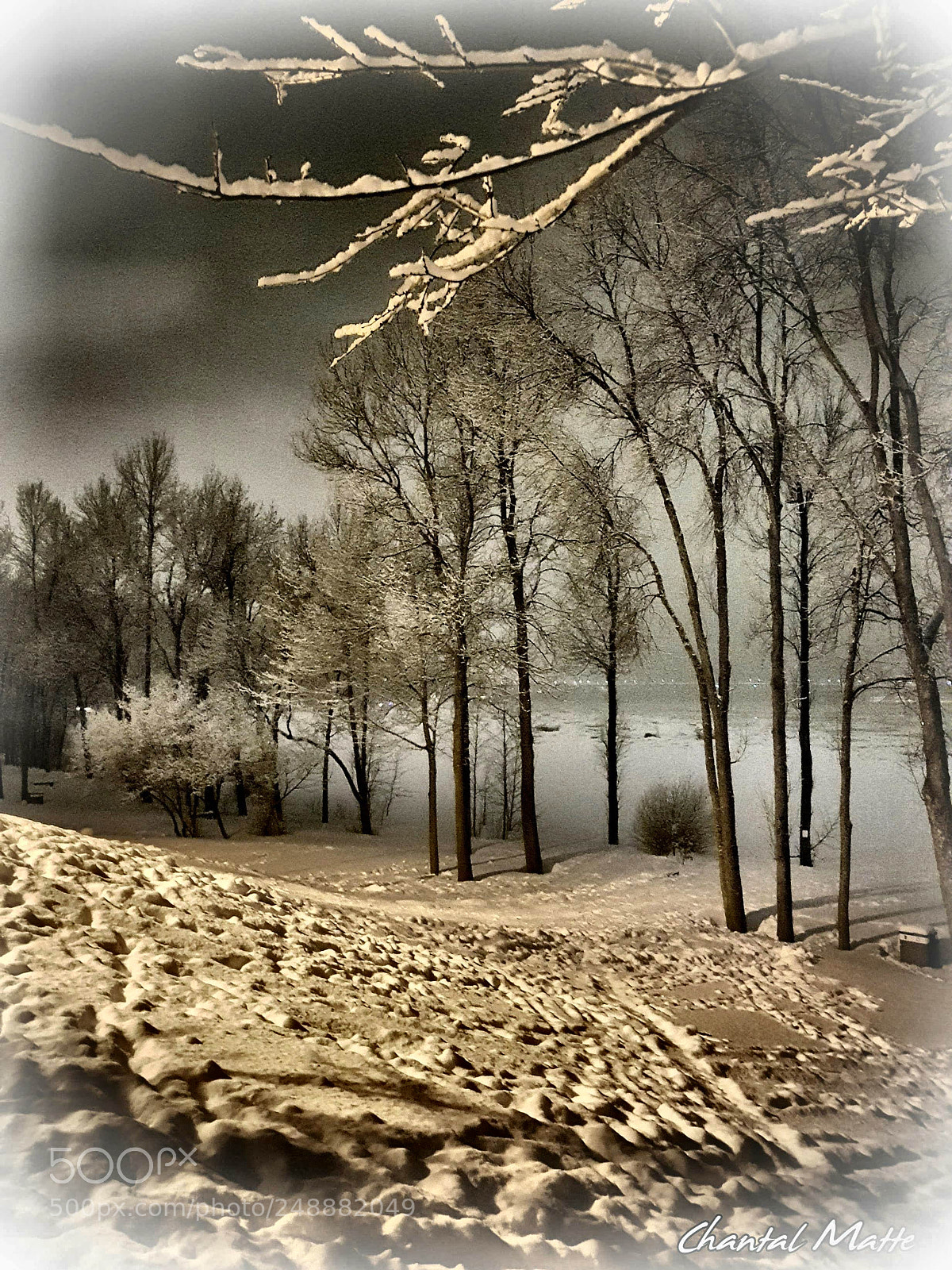 Samsung Galaxy S7 sample photo. Winter photography
