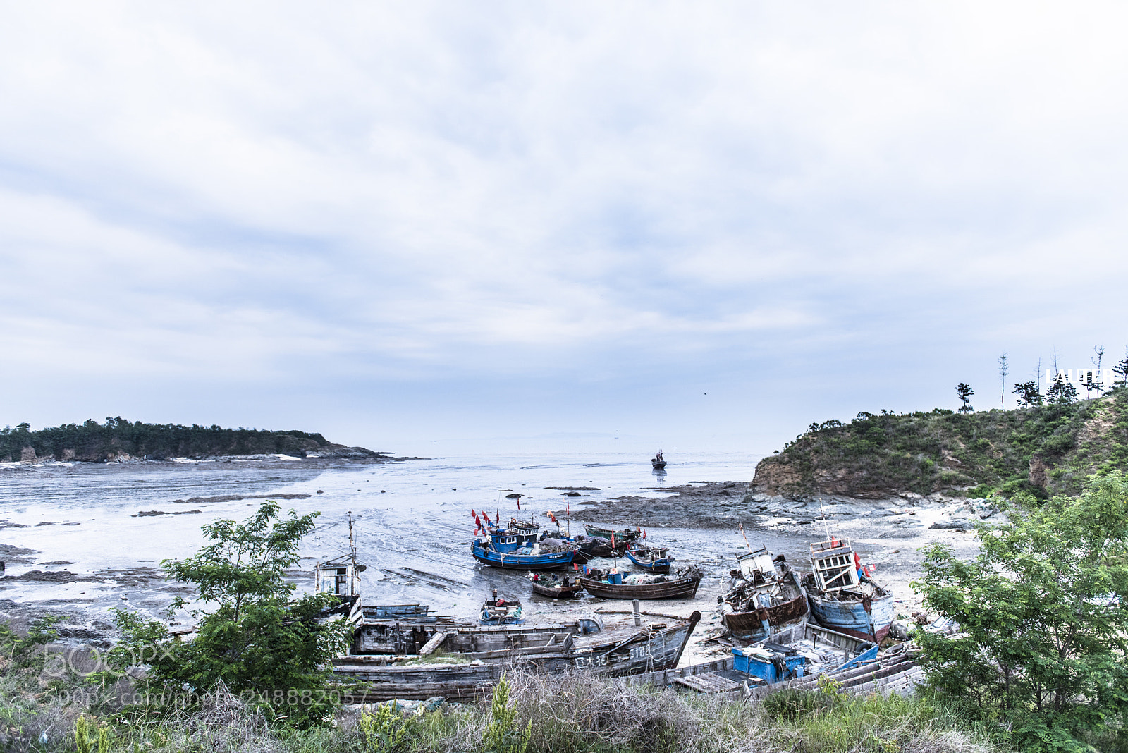 Nikon D810 sample photo. Dalian photography
