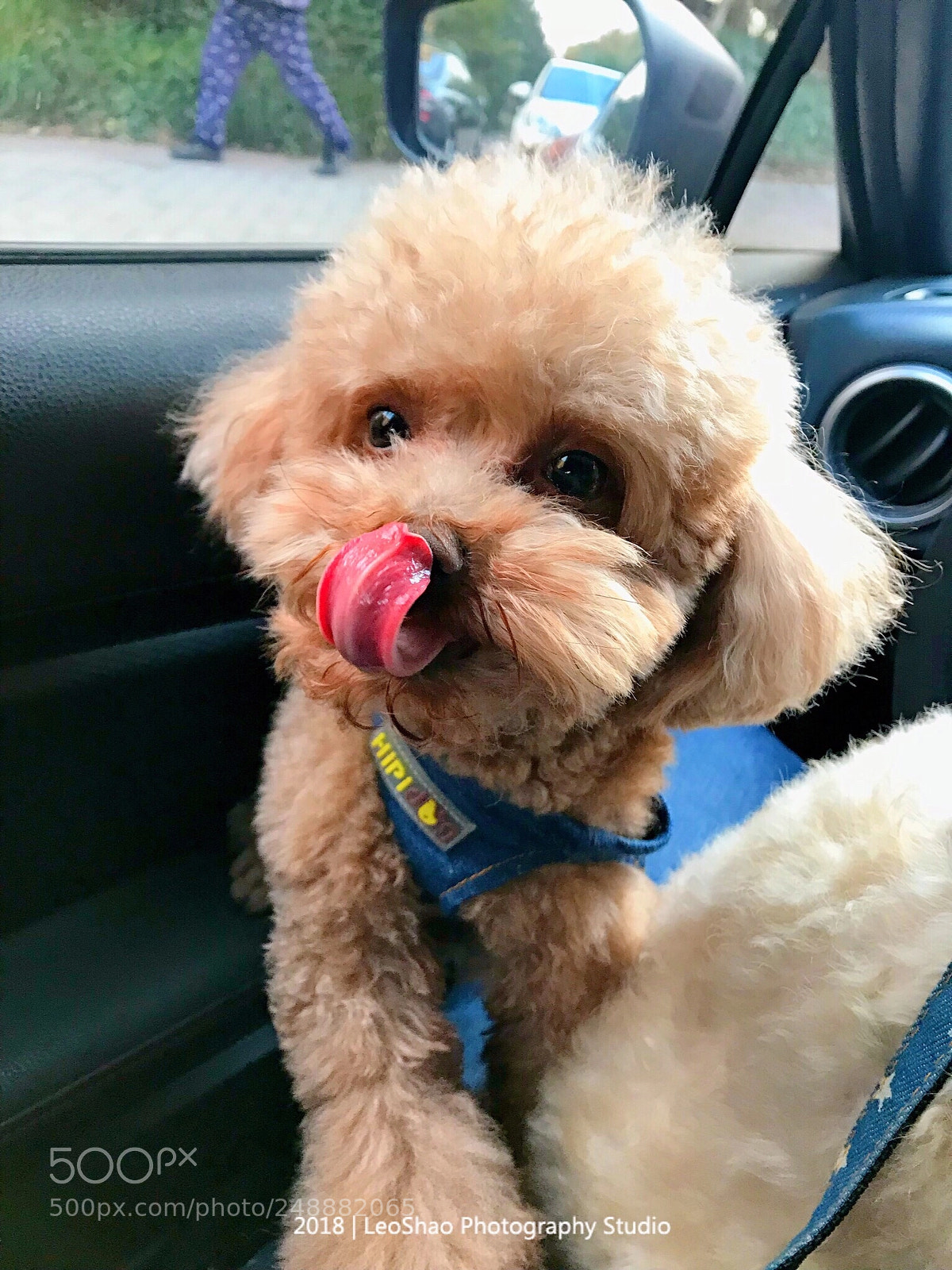 Apple iPhone 7 Plus sample photo. My name is oscar. photography