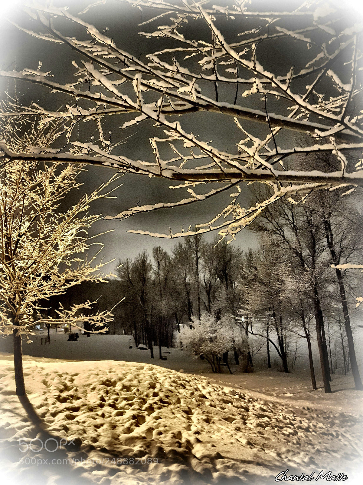 Samsung Galaxy S7 sample photo. Winter photography