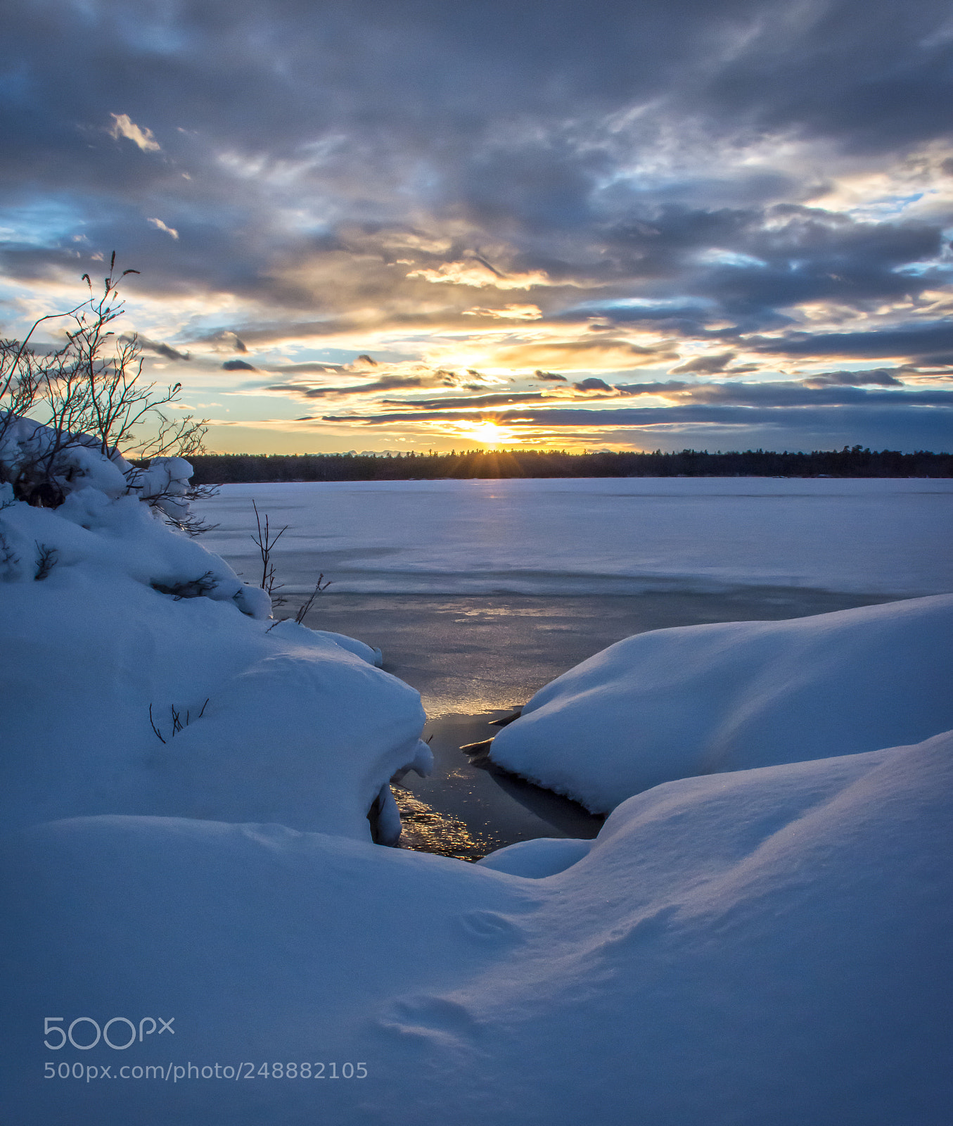 Nikon D7200 sample photo. Soft winter glow. photography