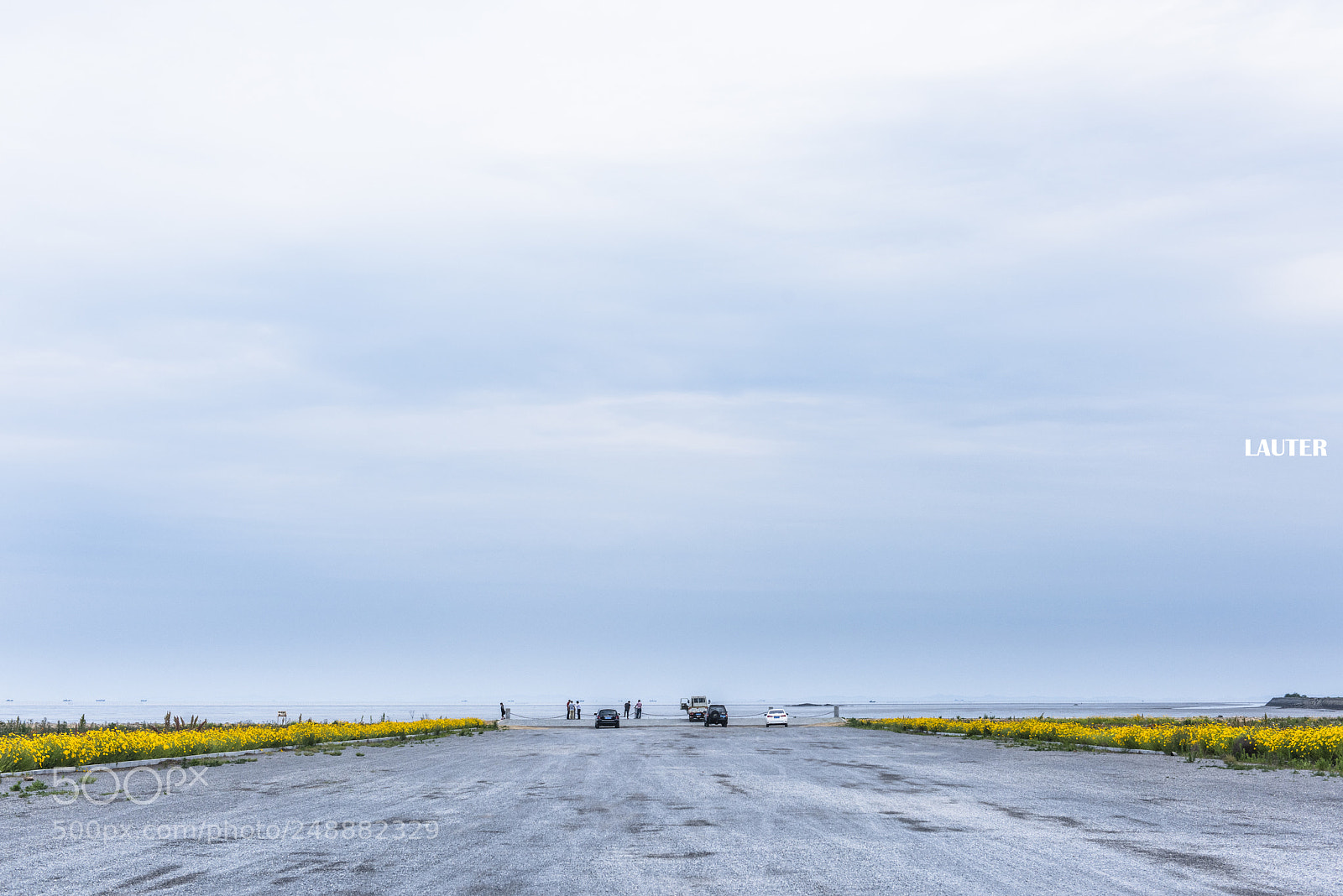 Nikon D810 sample photo. Dalian photography