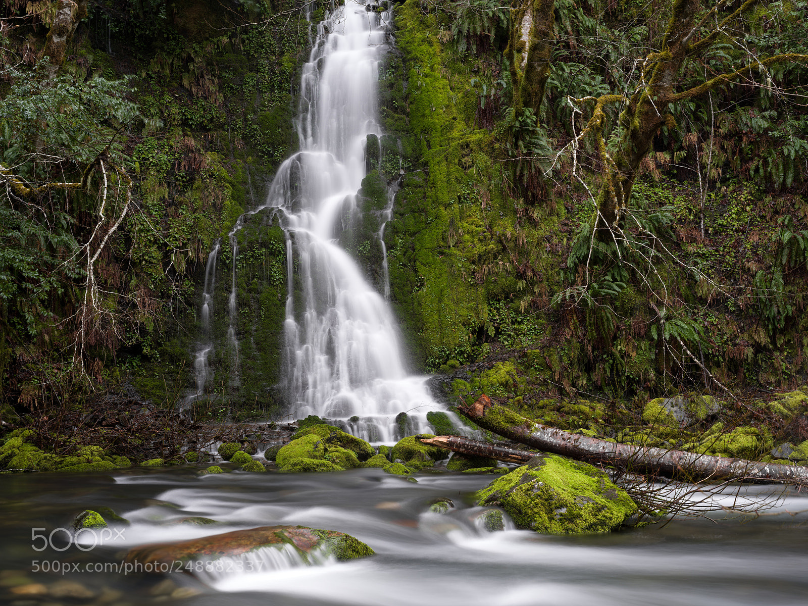 Pentax 645Z sample photo. Knopki creek photography