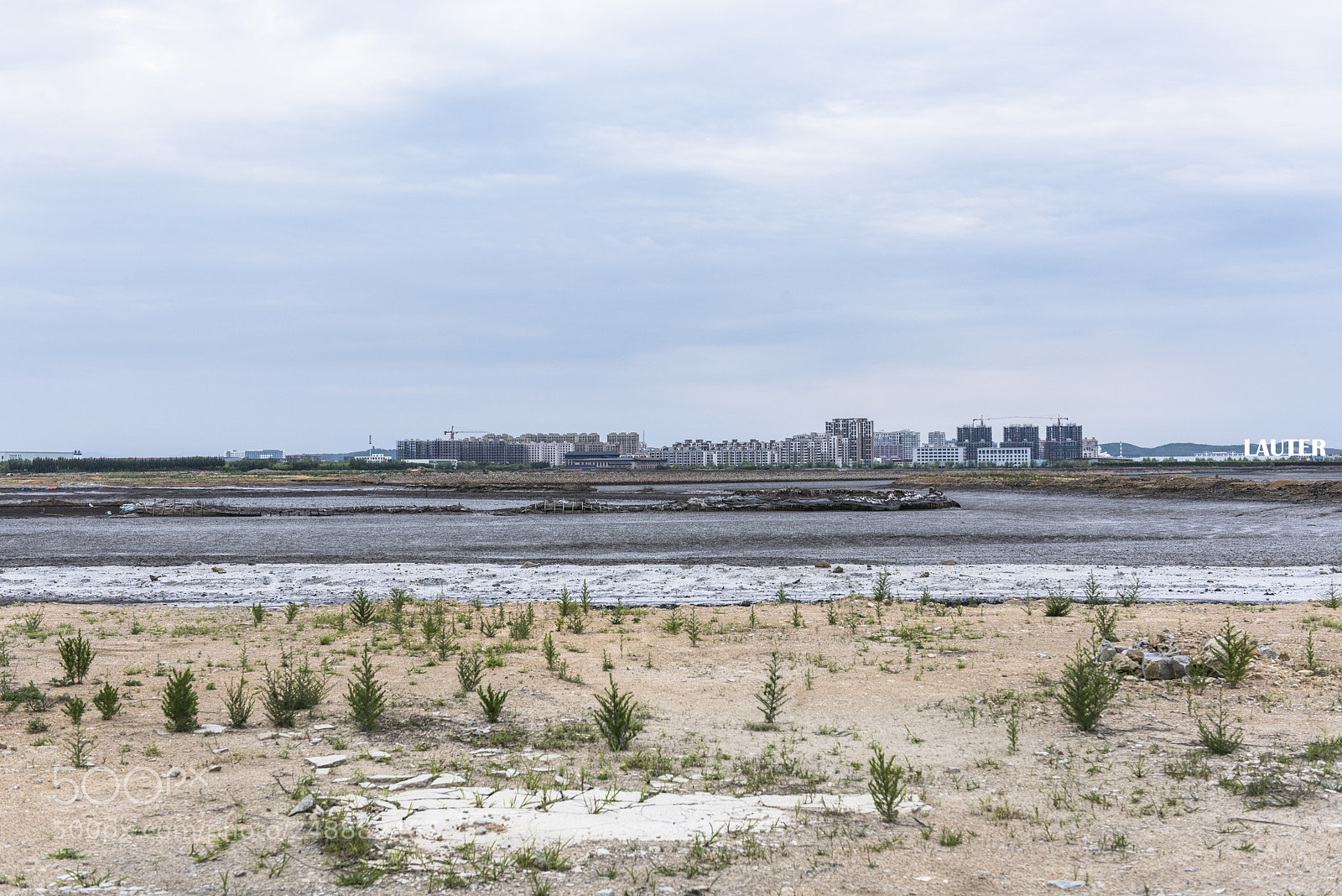 Nikon D810 sample photo. Dalian photography