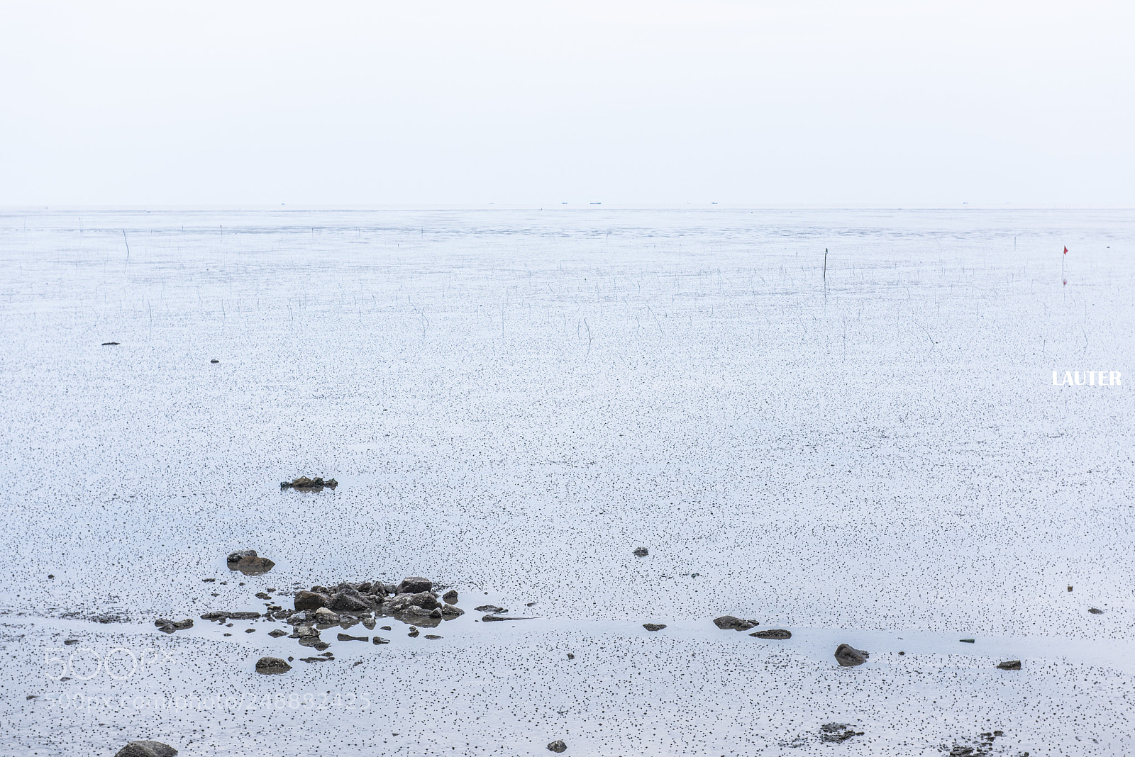 Nikon D810 sample photo. Dalian photography