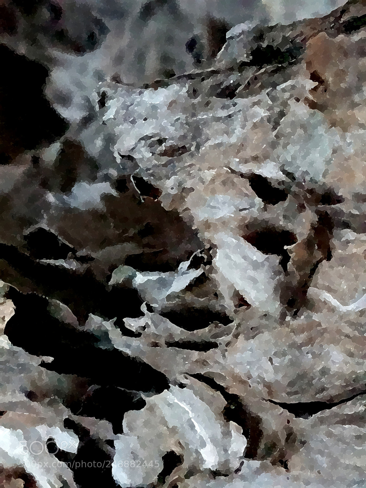 Samsung Galaxy S7 sample photo. Shell photography