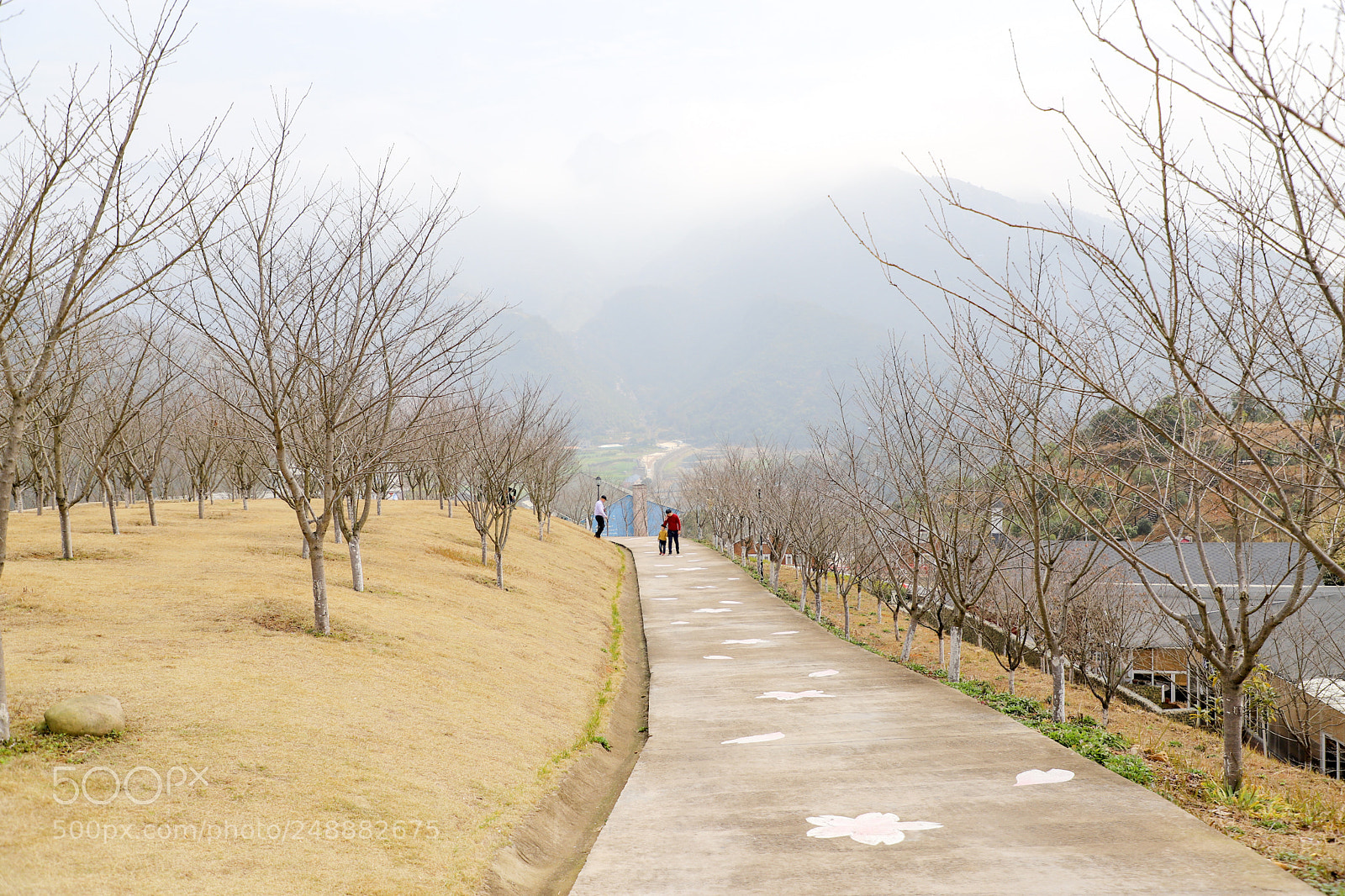 Canon EOS 6D Mark II sample photo. Untitled photography