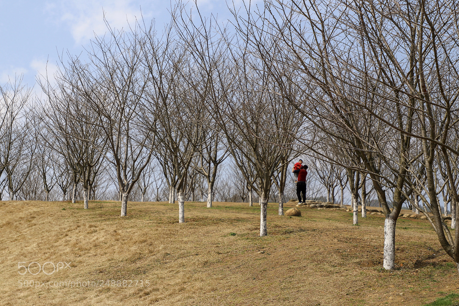 Canon EOS 6D Mark II sample photo. Untitled photography