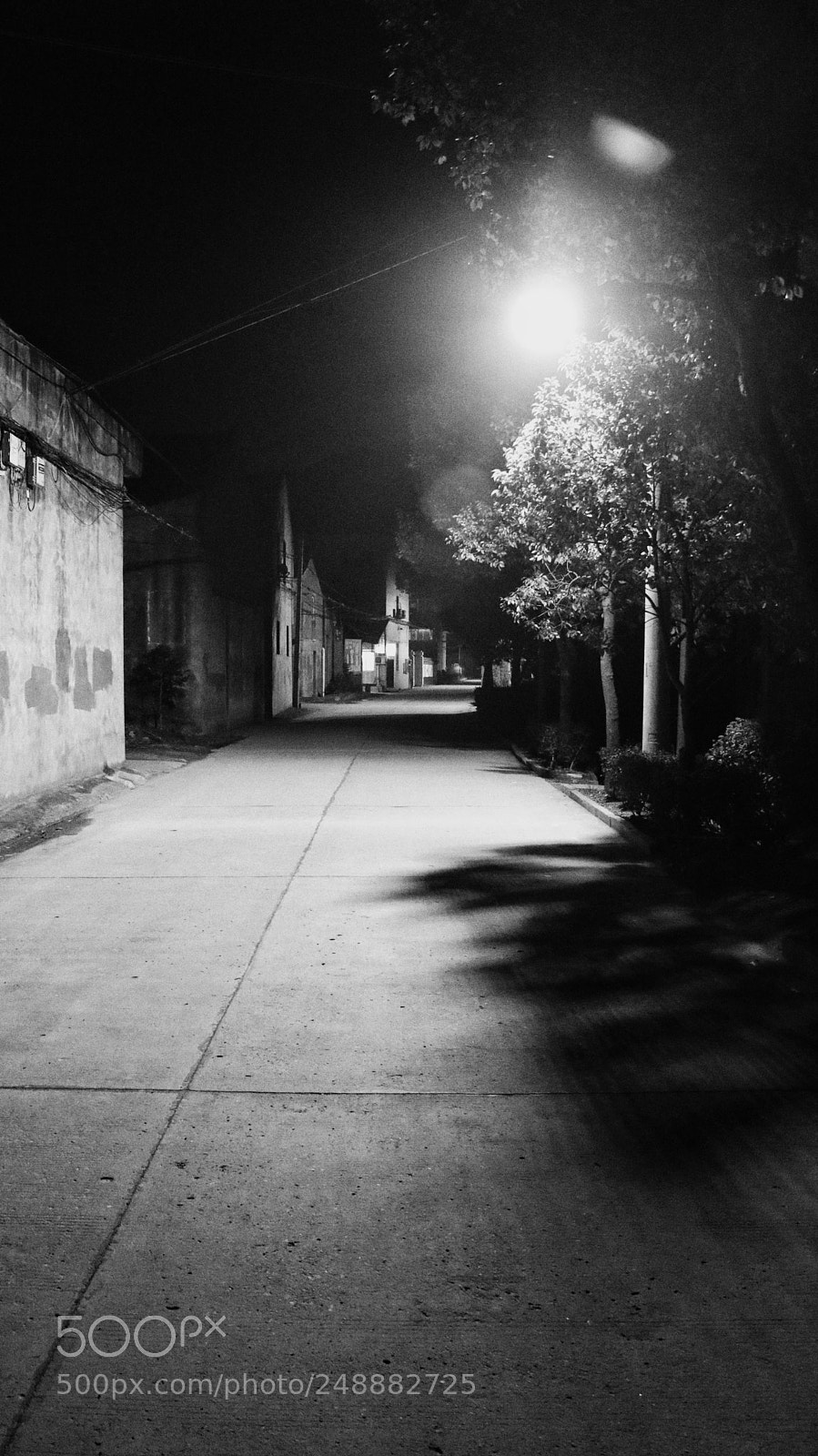 Canon EOS 80D sample photo. Untitled photography