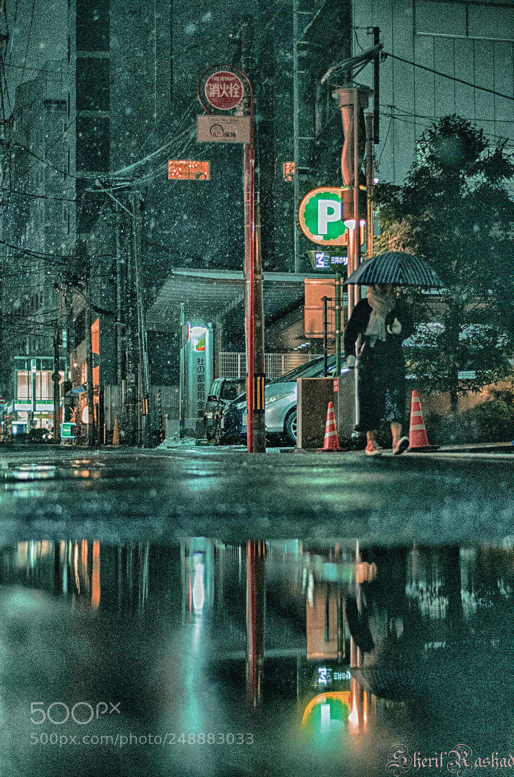 Pentax K-50 sample photo. Snowfall photography