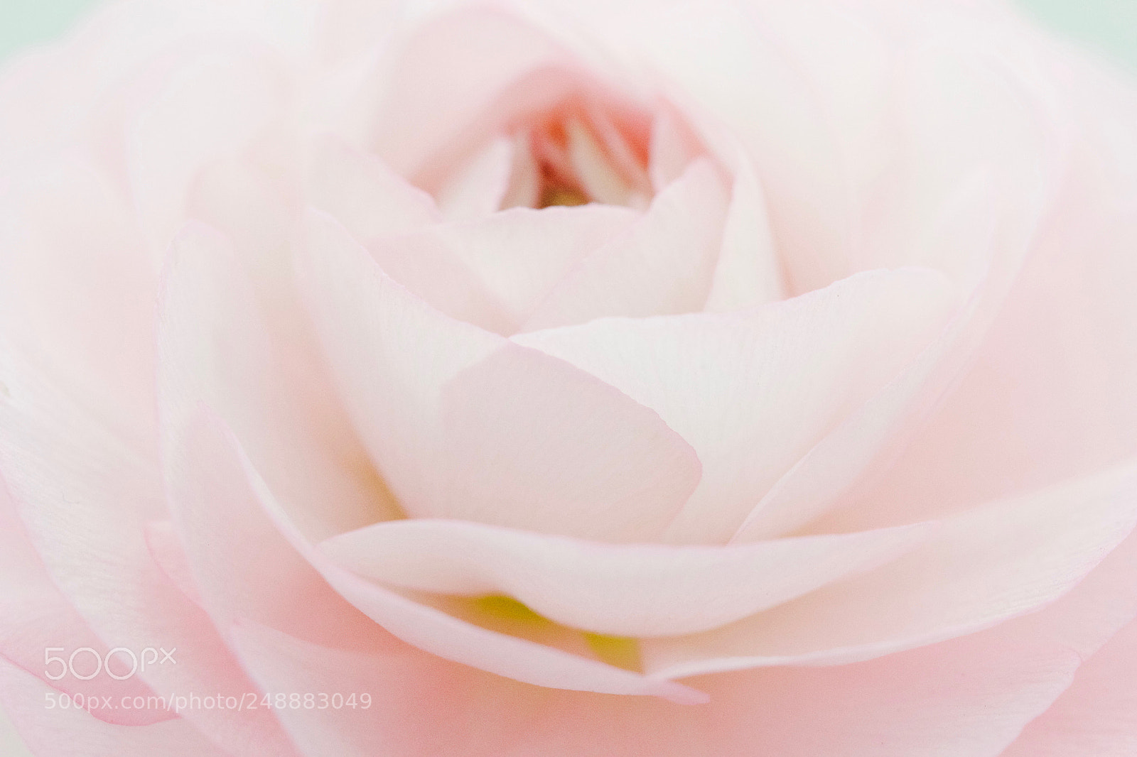 Canon EOS 60D sample photo. Untitled photography