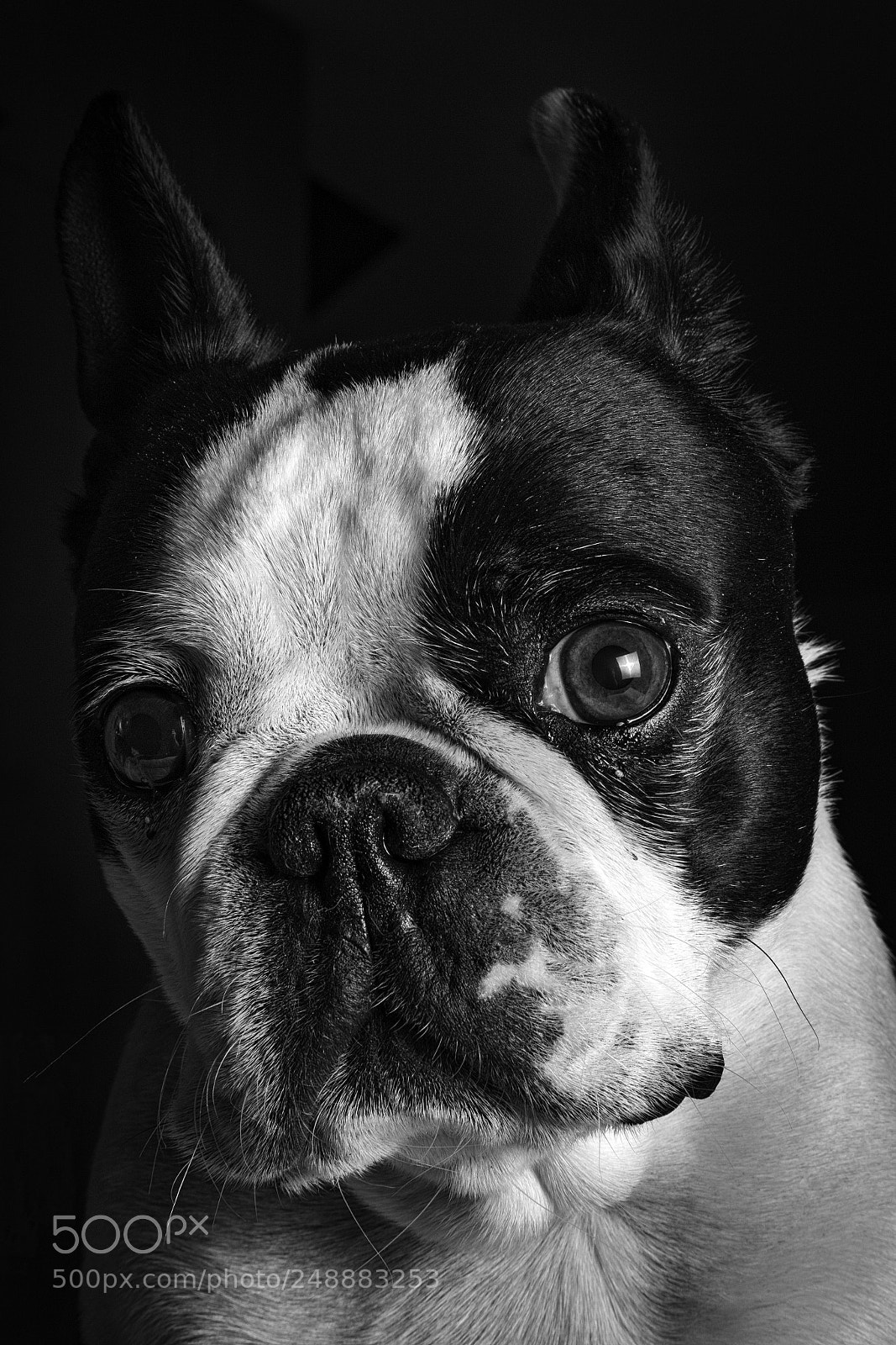 Canon EOS 5DS R sample photo. Untitled photography
